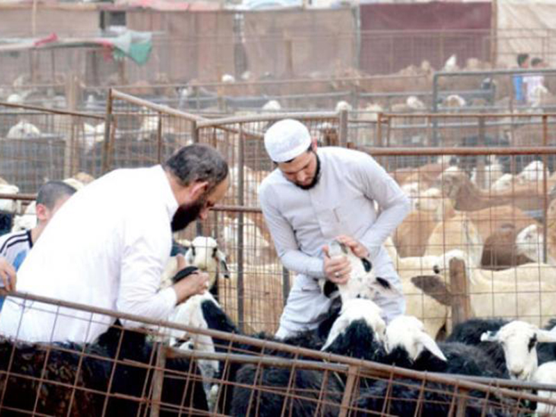 وزارة الخدمة المدنية السعودية تعلن عطلة الموظفين في عيد الأضحى